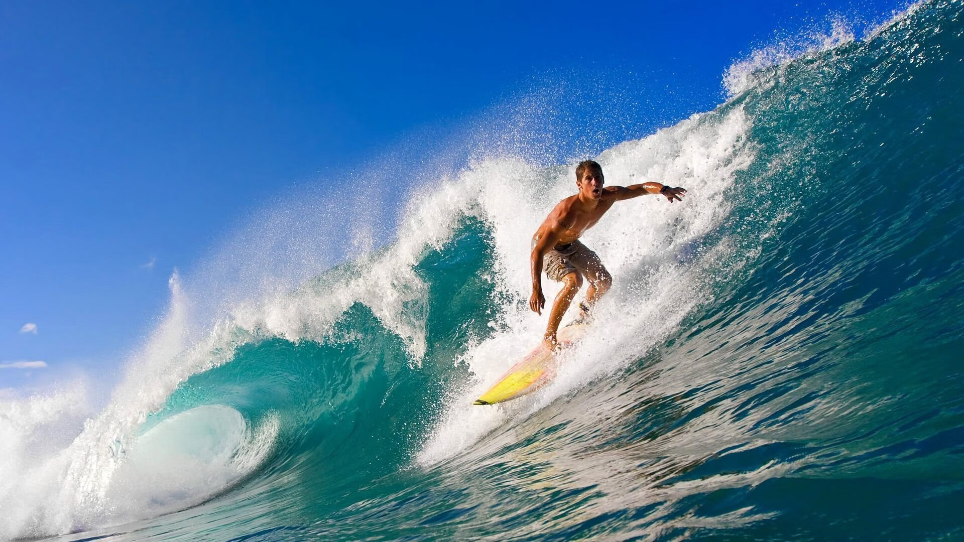 同曦队球队防守强度持续提升,同曦队球员