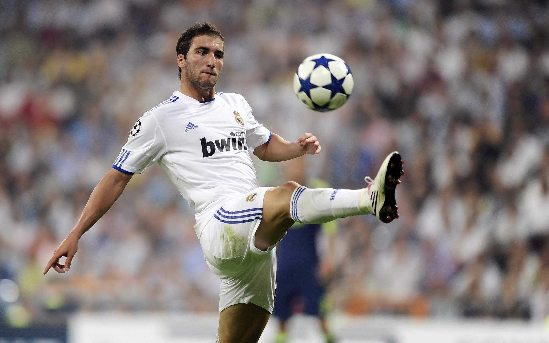 横滨水手主场大胜对手,横滨水手主力前锋