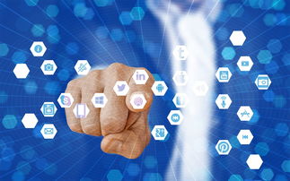 开云·体育官方网站入口-篮球专项技能教学视频资源创新开发，篮球技术教学